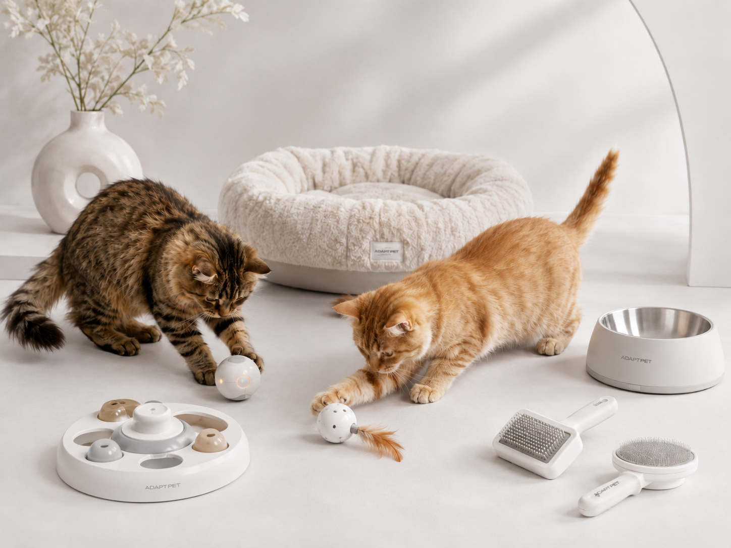 Cats