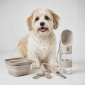 Dog Walk Bundle — The Complete Travel Kit