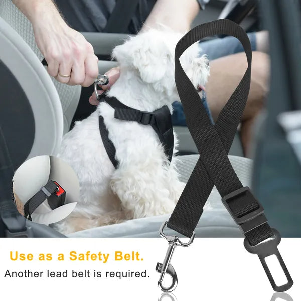 Pet Car Seat Belt 2-Pack | Safer, Stress-Free Car Rides for Dogs