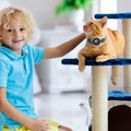 GPS Airtag Pet Collar | Never Lose Your Pet Again | Furry Lovers Pet