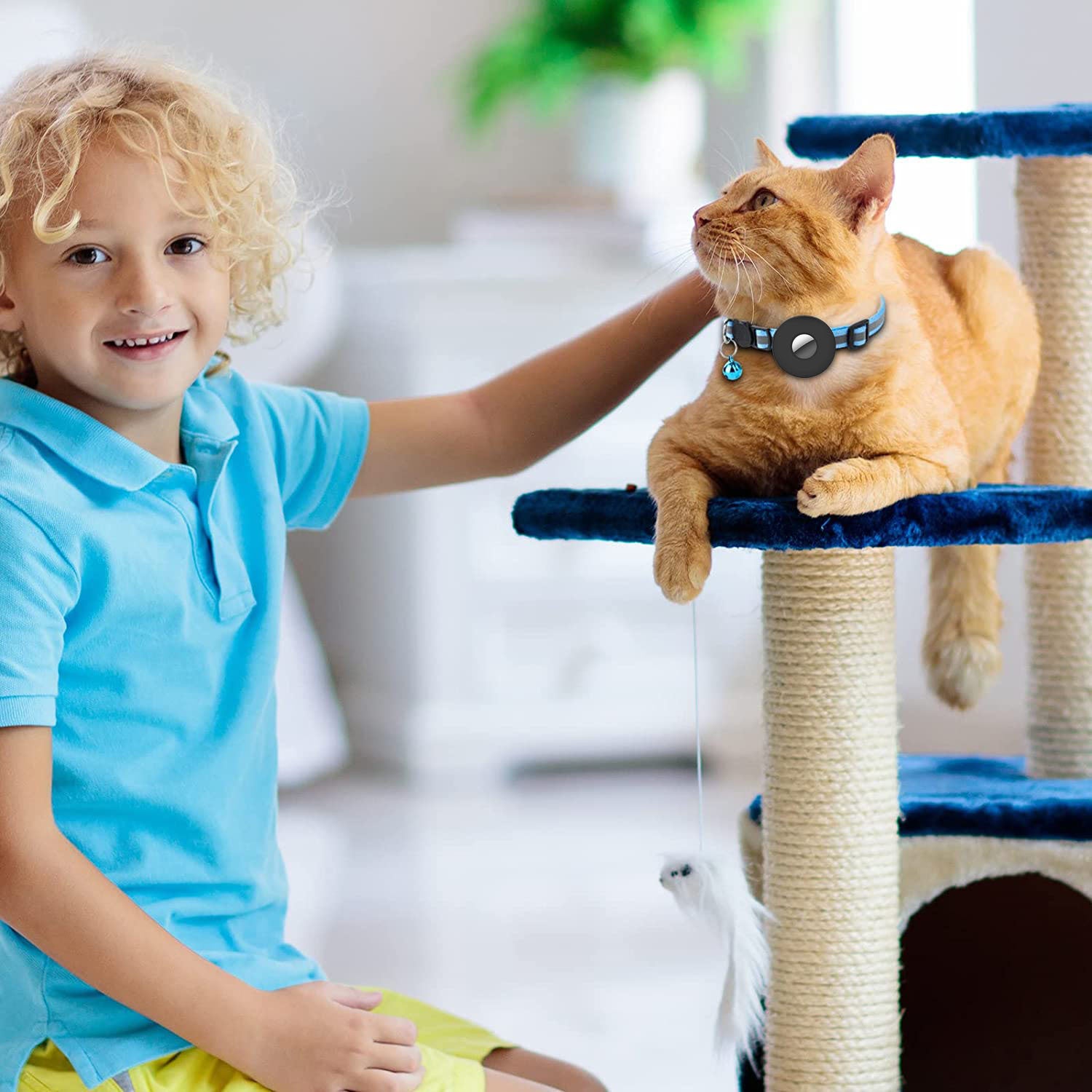 GPS Airtag Pet Collar | Never Lose Your Pet Again | Furry Lovers Pet