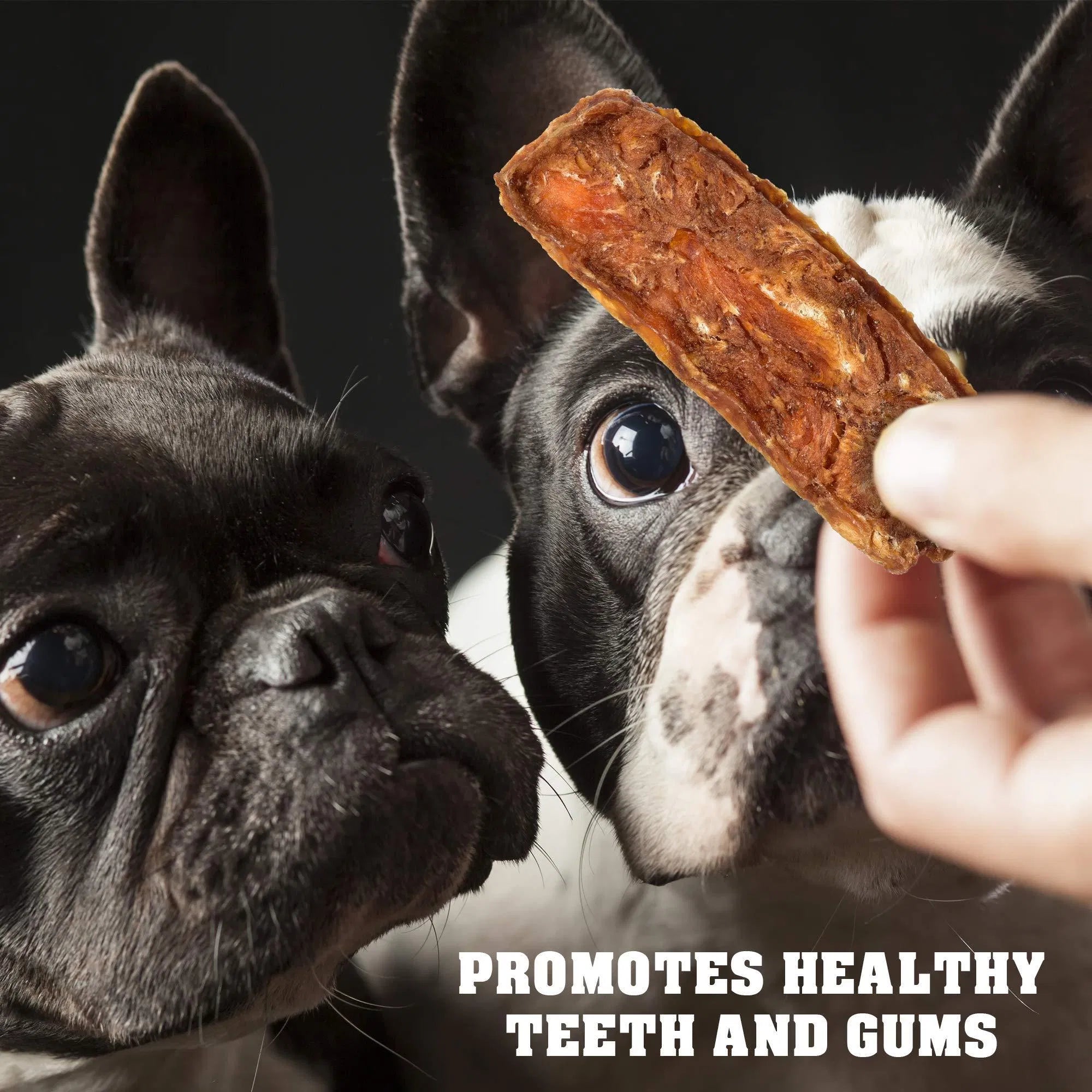 Healthy Chicken Chew Treats | High Protein Dog Snack | Furry Lovers Pet