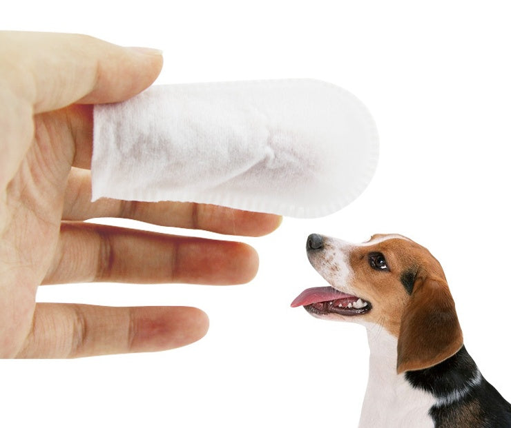 Pet Dental Wipes | Easy Teeth Cleaning for Pets | Furry Lovers Pet