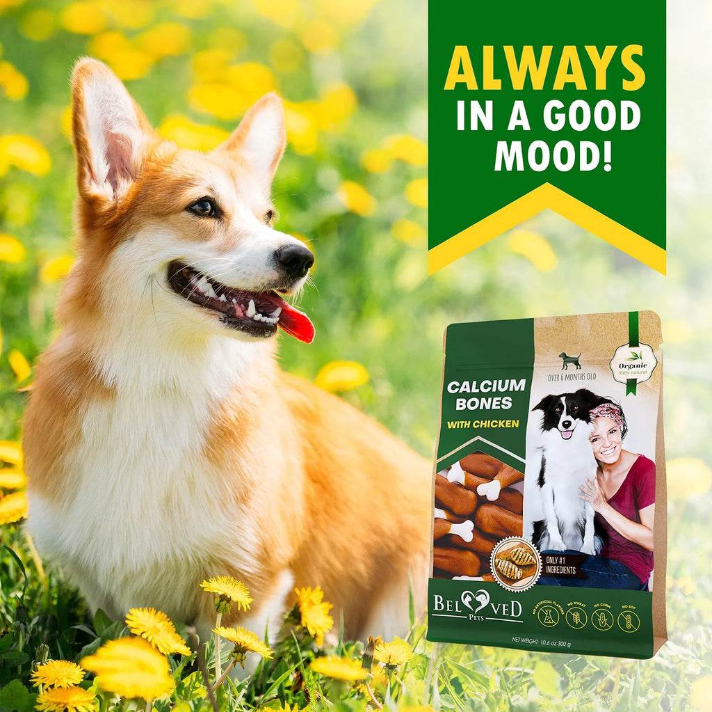 Chicken Calcium Bones | Healthy Chew Treats for Dogs | Furry Lovers Pet