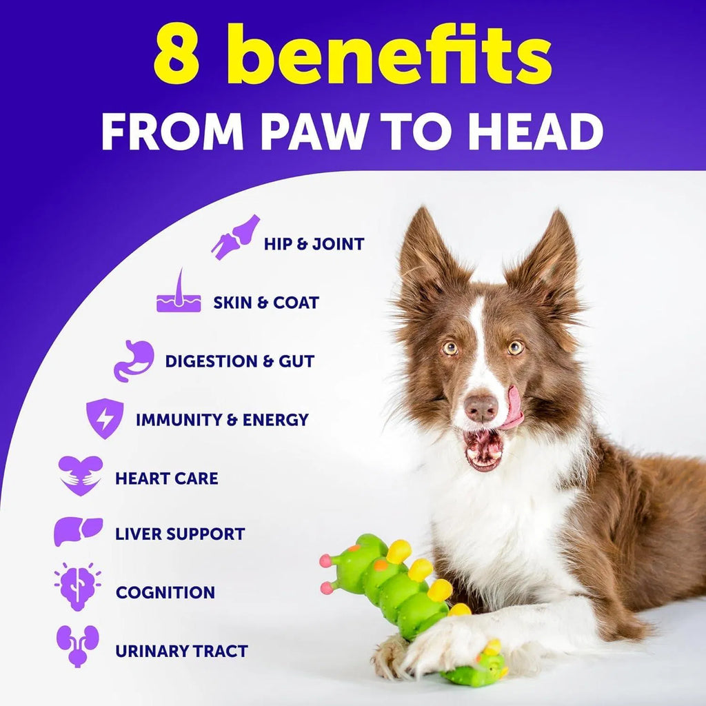 Complete Dog Multivitamin | 120 Chews | Furry Lovers Pet