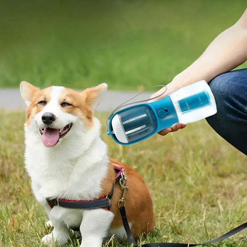 TravelPaw™ 3-in-1 Pet Water Bottle | Keep Your Dog Hydrated Anywhere