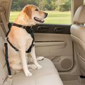 Pet Car Seat Belt 2-Pack | Safer, Stress-Free Car Rides for Dogs