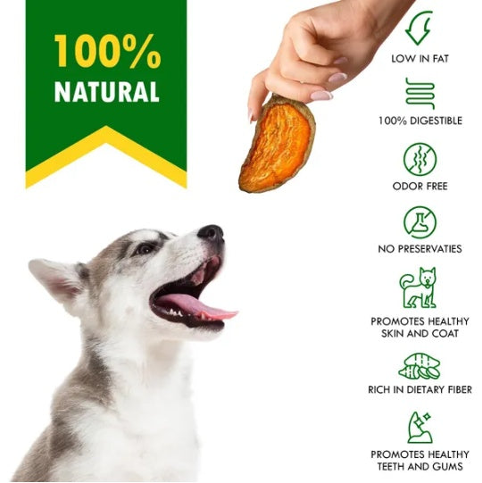 Sweet Potato Dog Chips | Healthy Natural Dog Treat | Furry Lovers Pet