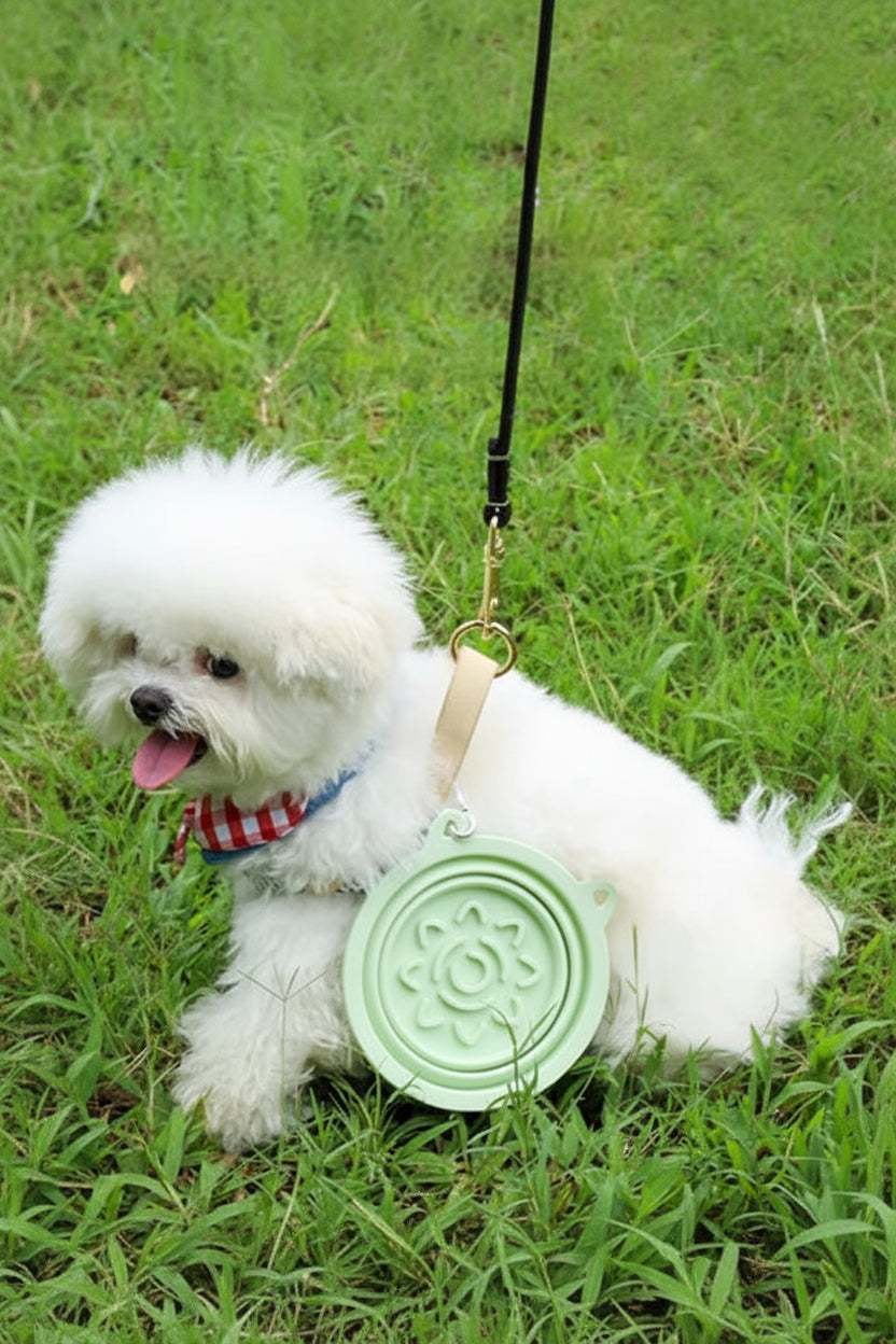All-in-One Pet Travel Bowl | Foldable & Portable | Furry Lovers Pet