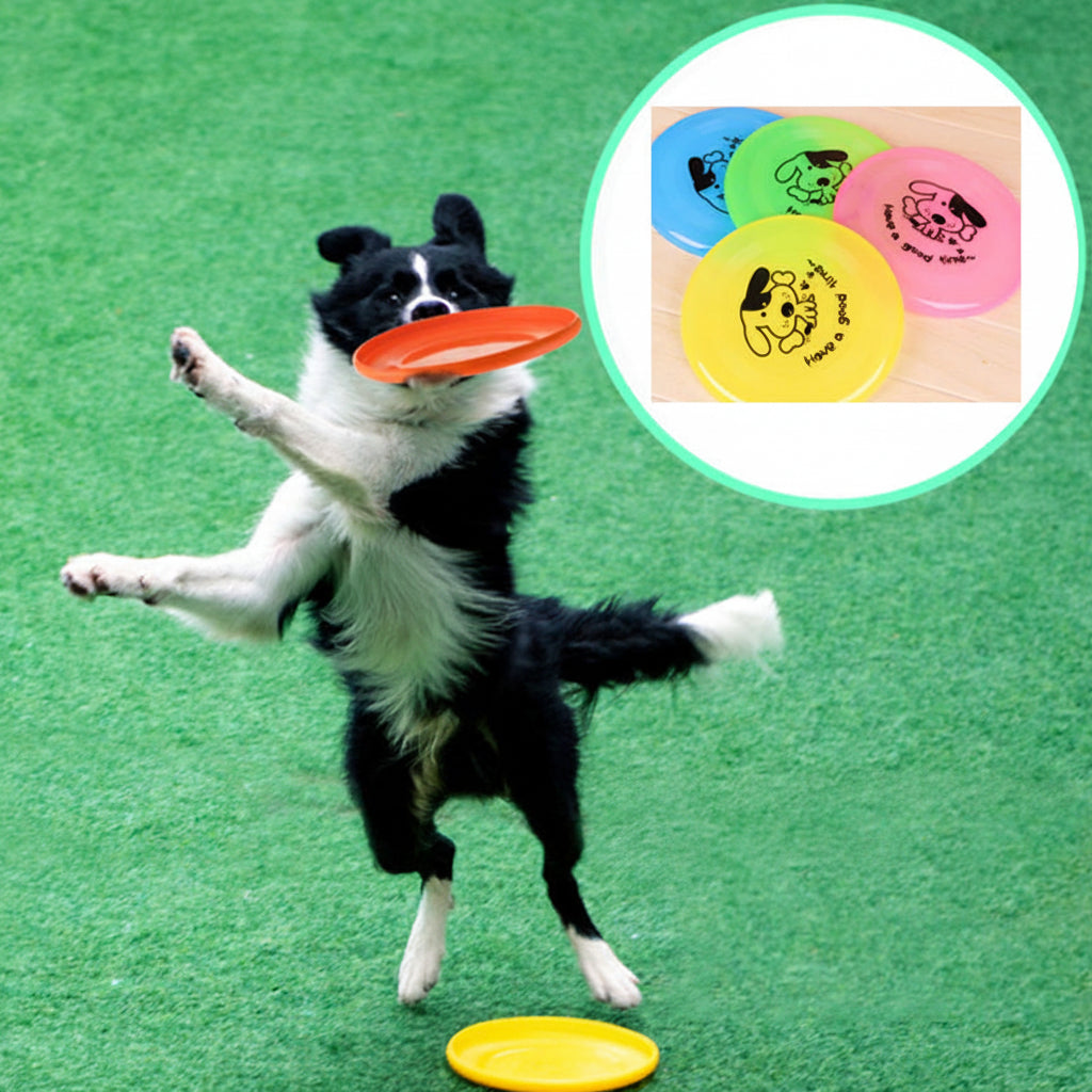 Silicone Flying Disc Dog Toy | Safe & Durable | Furry Lovers Pet