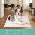 Dog Urine Detection Pad | Train Your Dog Faster | Furry Lovers Pet