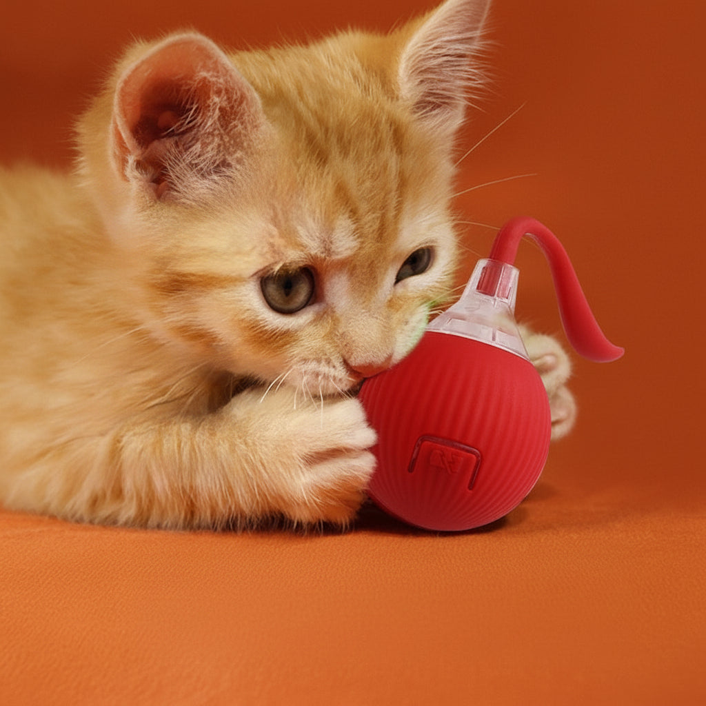 Interactive Cat Play Ball | Keep Your Cat Active & Entertained