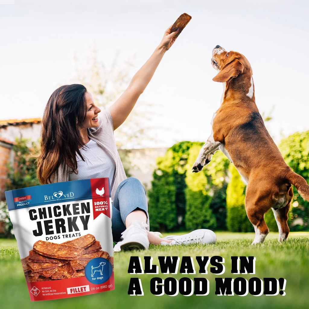 Healthy Chicken Chew Treats | High Protein Dog Snack | Furry Lovers Pet